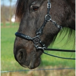 Bespoke - Build A Calli Hackamore Bitless Bridle & Reins